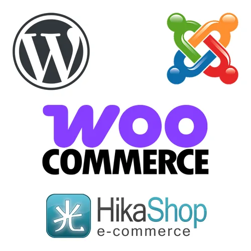Programmatore PHP javascript